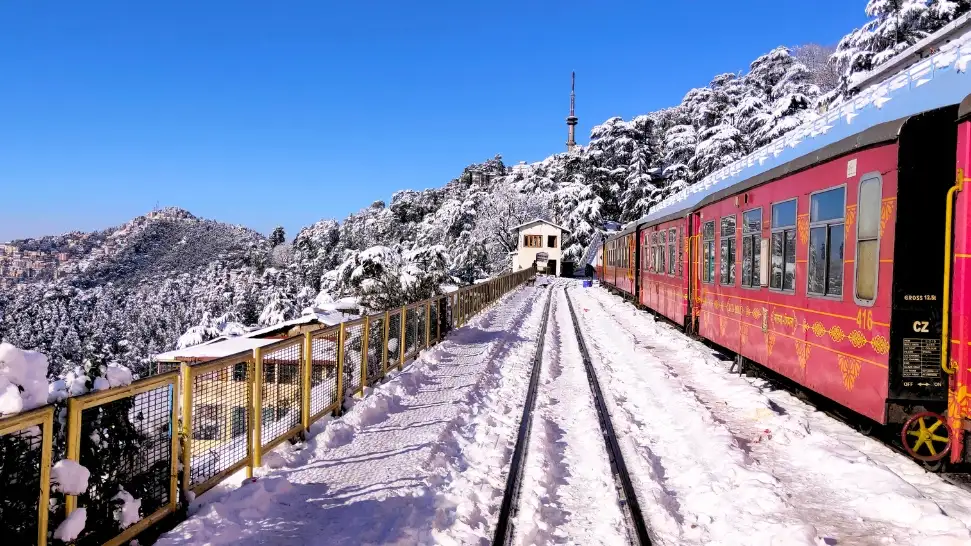 shimla